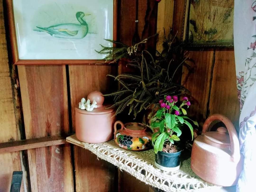 فيلا أوسوريوفي Cabana Rustica Calabresi المظهر الخارجي الصورة